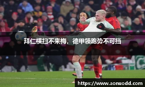 星欧娱乐下载官网
