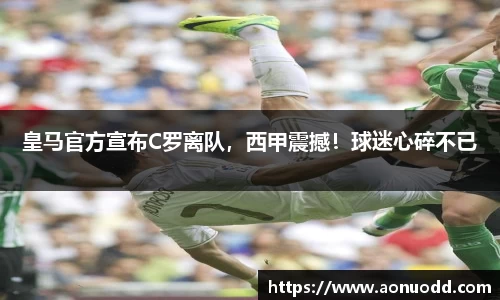 星欧娱乐登录