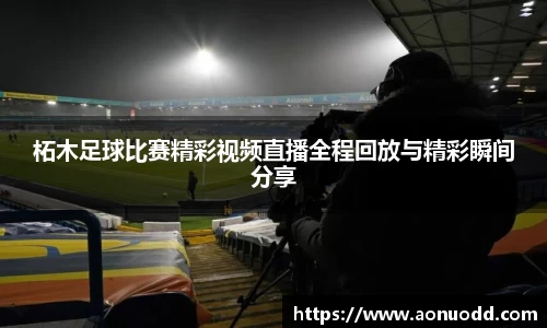 星欧娱乐登录