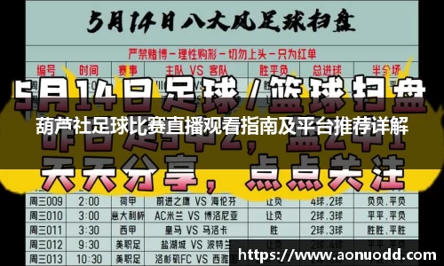 星欧娱乐登录